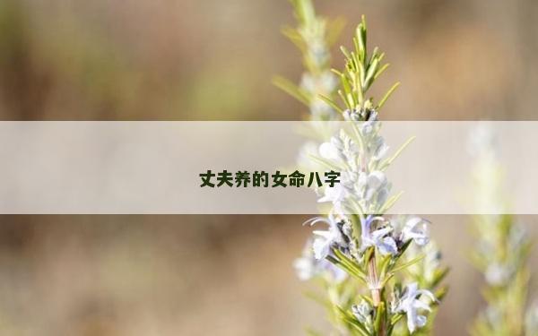 丈夫養(yǎng)的女命八字