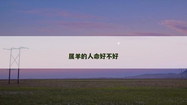 屬羊的人命好不好