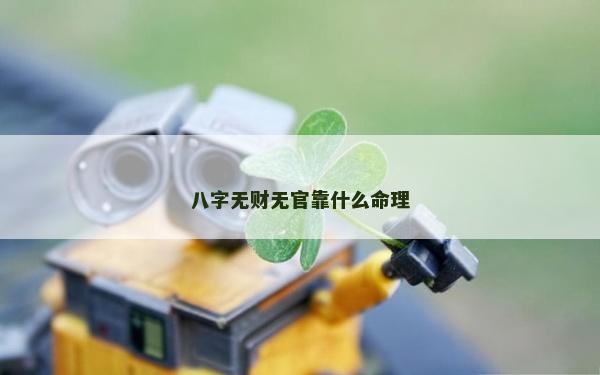 八字無財無官靠什么命理