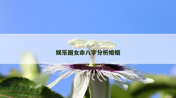 娛樂圈女命八字分析婚姻