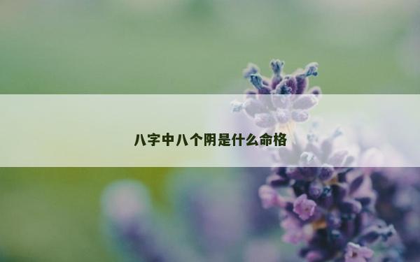 八字中八個陰是什么命格