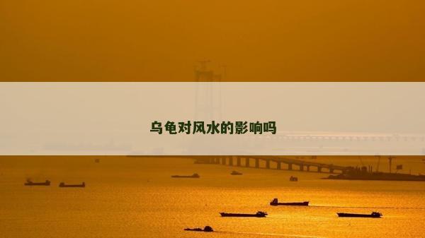 烏龜對風水的影響嗎