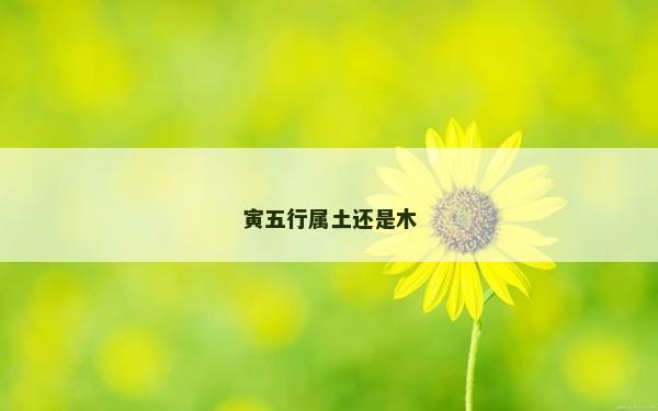 寅五行屬土還是木 寅五行屬土還是木