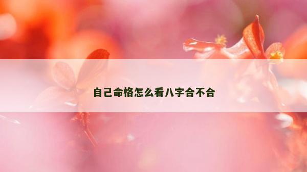 自己命格怎么看八字合不合