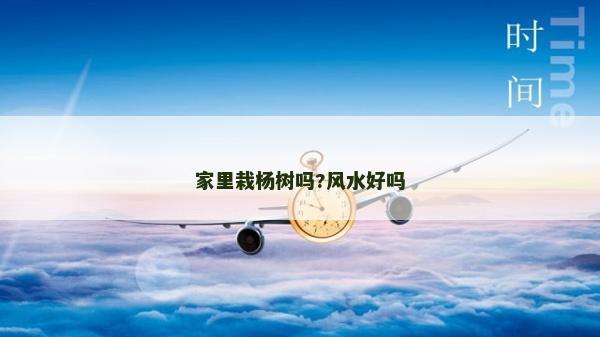 家里栽楊樹嗎?風水好嗎