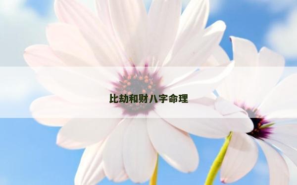 比劫和財八字命理