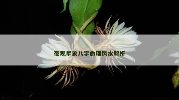 夜觀星象八字命理風(fēng)水解析