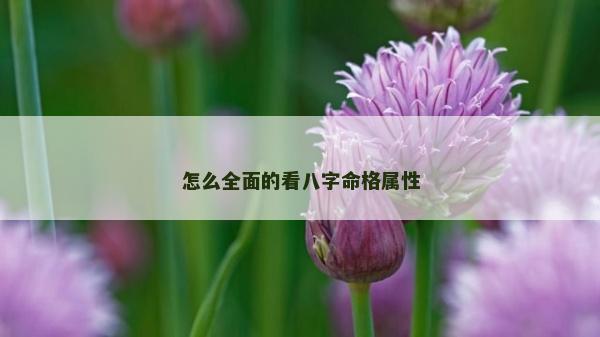 怎么全面的看八字命格屬性