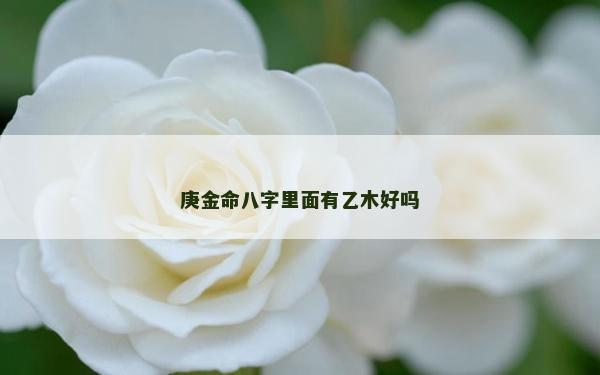 庚金命八字里面有乙木好嗎