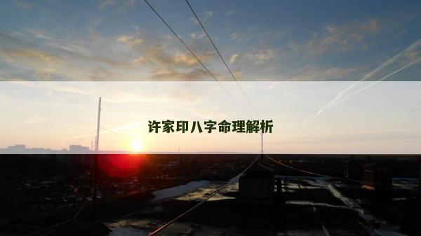 許家印八字命理解析