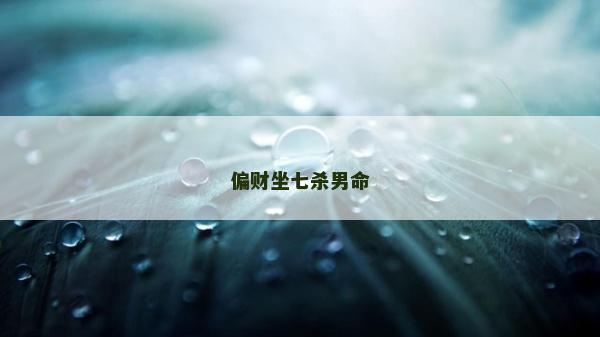 偏財坐七殺男命