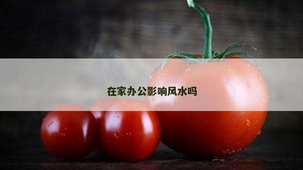 在家辦公影響風水嗎