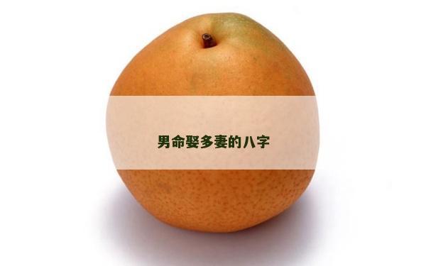 男命娶多妻的八字