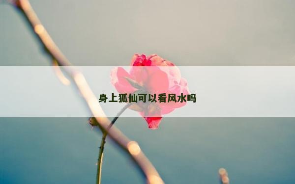身上狐仙可以看風水嗎