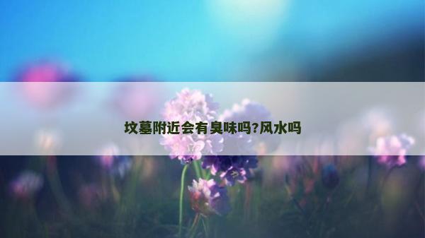 墳墓附近會有臭味嗎?風水嗎