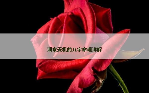 洞察天機的八字命理詳解 洞察天機的八字命理詳解