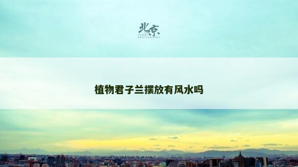 植物君子蘭擺放有風水嗎