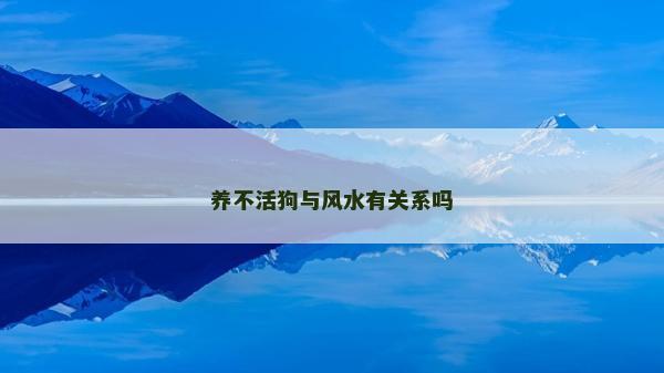 養不活狗與風水有關系嗎