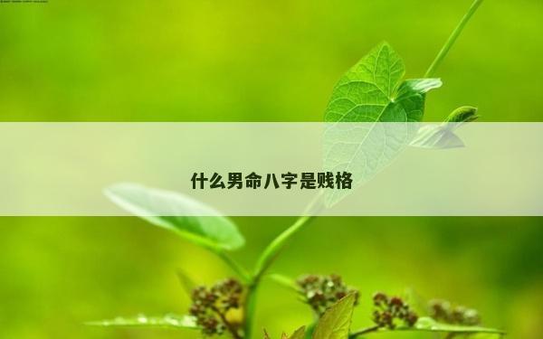 什么男命八字是賤格
