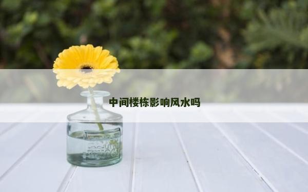 中間樓棟影響風水嗎