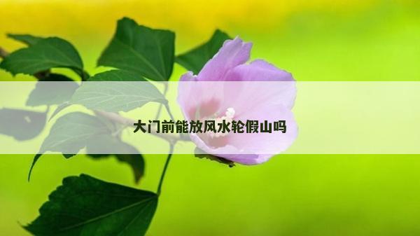 大門前能放風水輪假山嗎