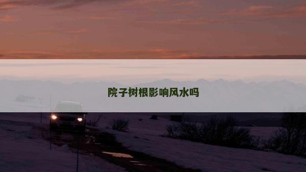 院子樹根影響風水嗎