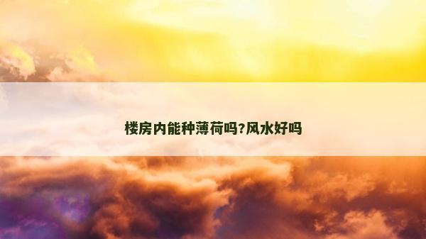 樓房內能種薄荷嗎?風水好嗎