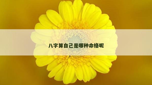 八字算自己是哪種命格呢