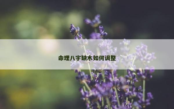 命理八字缺木如何調整