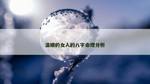 溫順的女人的八字命理分析