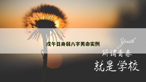 戊午日身弱八字男命實例