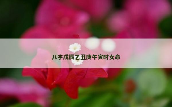 八字戊辰乙丑庚午寅時女命