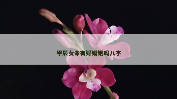 甲辰女命有好婚姻嗎八字