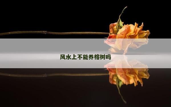 風水上不能養榕樹嗎