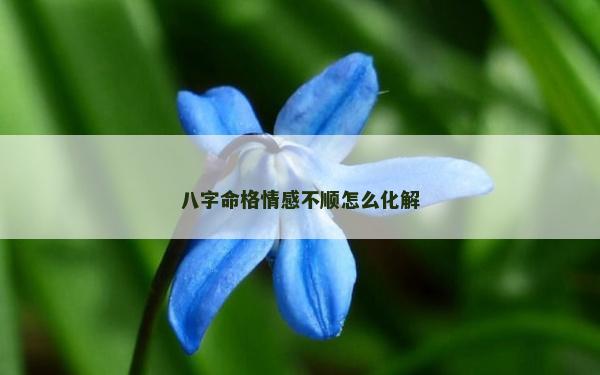 八字命格情感不順怎么化解