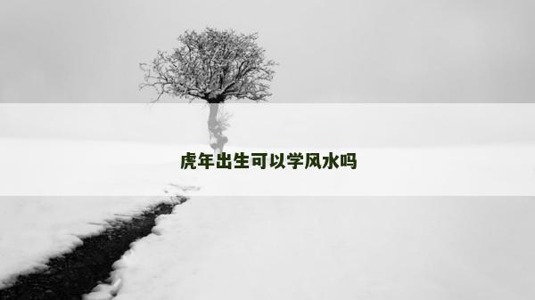 虎年出生可以學風水嗎