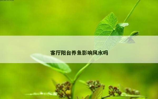 客廳陽(yáng)臺(tái)養(yǎng)魚影響風(fēng)水嗎