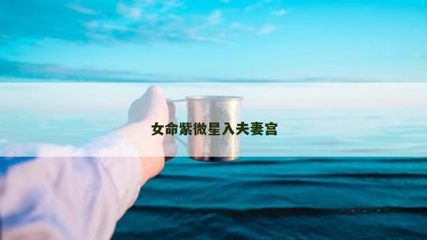 女命紫微星入夫妻宮