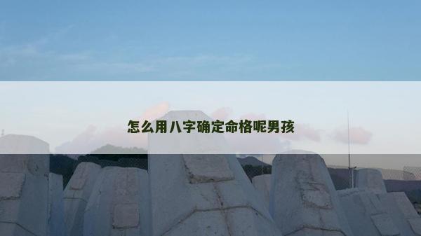 怎么用八字確定命格呢男孩