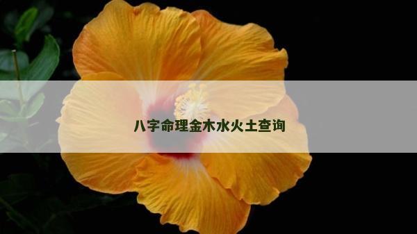 八字命理金木水火土查詢