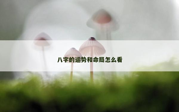 八字的運勢和命局怎么看