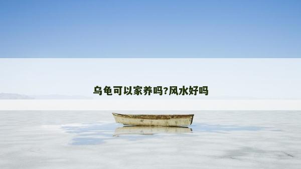 烏龜可以家養嗎?風水好嗎