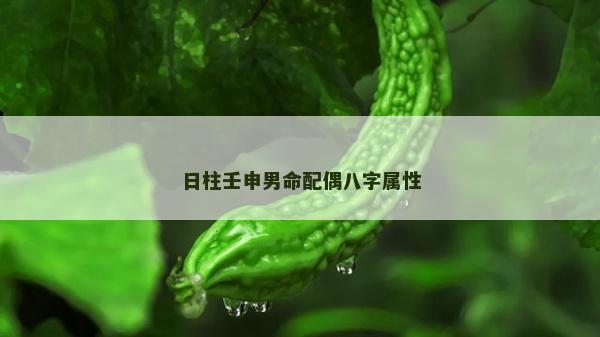 日柱壬申男命配偶八字屬性