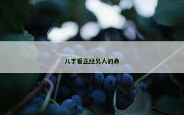 八字看正經(jīng)男人的命