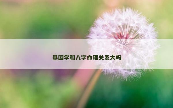 基因學和八字命理關系大嗎