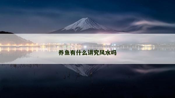 養魚有什么講究風水嗎
