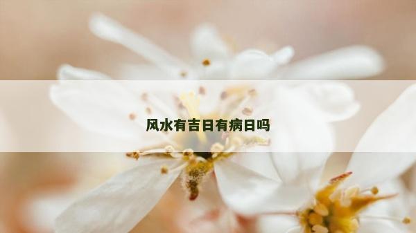 風水有吉日有病日嗎