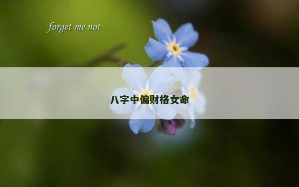 八字中偏財格女命