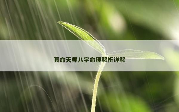 真命天師八字命理解析詳解