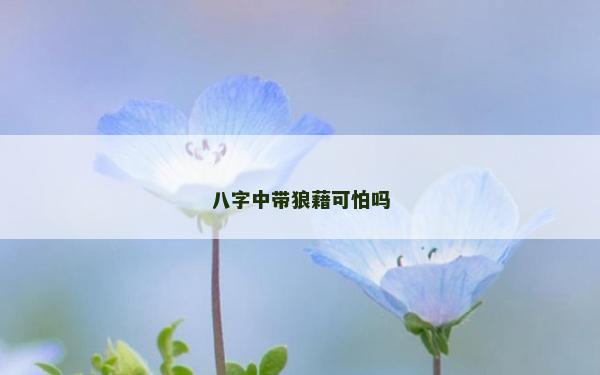八字中帶狼藉可怕嗎